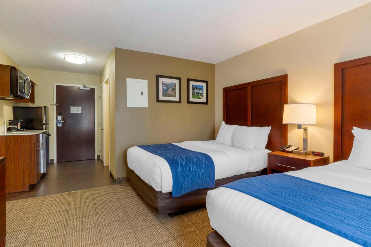 Comfort Inn Danvers - Boston North Shore Ngoại thất bức ảnh